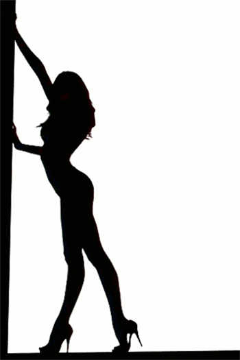 女主穿越能号令百兽