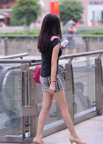 儒林外史好句赏析