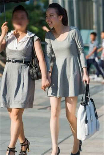 主妇与狗的秘密下午时光
