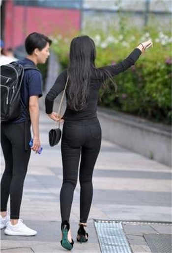 tzspapk兔子视频葵花宝典