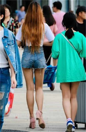陆深莫暖陆琛七猫小说